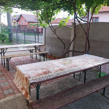 Casa Andreea Hotel Novaci-Străini Eksteriør billede